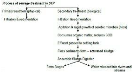 Notes And Questions NCERT Class 12 Biology Chapter 10 Microbes in Human Welfare