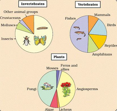 Notes And Questions NCERT Class 12 Biology Chapter 15 Biodiversity and Conservation