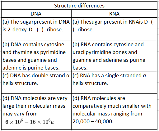 Notes And Questions NCERT Class 12 Biology Chapter 6 Molecular Basis of Inheritance