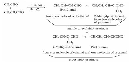 Notes And Questions NCERT Class 12 Chemistry Chapter 12 Aldehydes Ketones And Carboxylic Acids