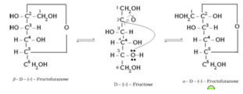 Notes And Questions NCERT Class 12 Chemistry Chapter 14 Biomolecules