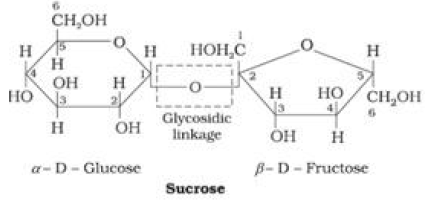 Notes And Questions NCERT Class 12 Chemistry Chapter 14 Biomolecules