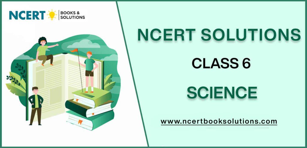 NCERT Solutions For Class 6 Science