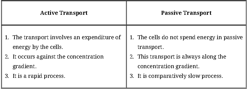 Notes And Questions NCERT Class 11 Biology Chapter 8 Cell The Unit of Life
