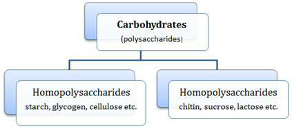 Notes And Questions NCERT Class 11 Biology Chapter 9 Biomolecules