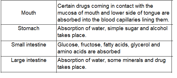 Notes And Questions NCERT Class 11 Biology Chapter 16 Digestion and Absorption