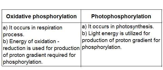 Notes And Questions NCERT Class 11 Biology Chapter 14 Respiration in Plants