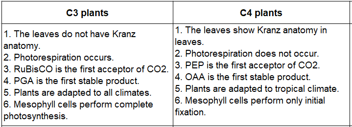 Notes And Questions NCERT Class 11 Biology Chapter 13 Photosynthesis in Higher Plants