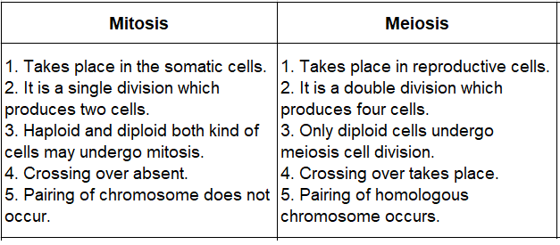 Notes And Questions NCERT Class 11 Biology Chapter 10 Cell Cycle and Cell Division