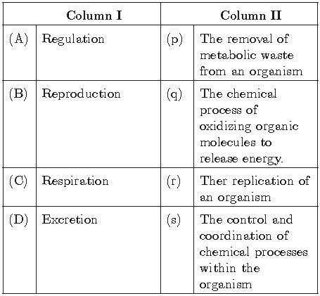 Notes And Questions For NCERT Class 10 Science Life Process