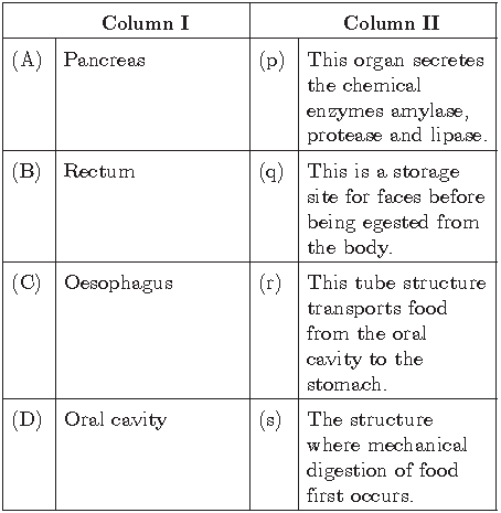 Notes And Questions For NCERT Class 10 Science Life Process