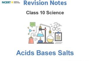 Acids Bases Salts Class 10 notes