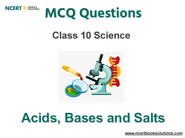 Acids Bases and Salts Class 10 Science MCQ Questions