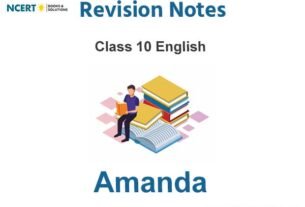 Amanda! Summary Class 10