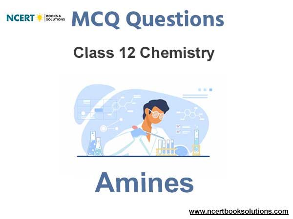 Amines Class 12 Chemistry MCQ Questions