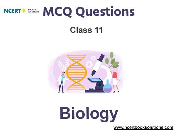 mcq questions for class 11 biology