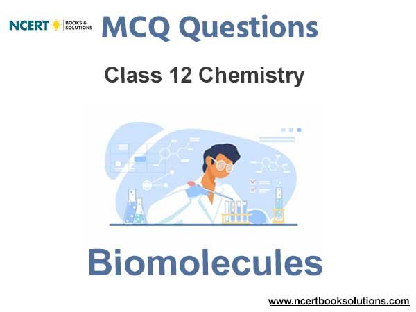 Biomolecules Class 12 Chemistry MCQ Questions