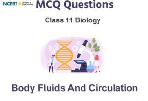 Body Fluids and Circulation Class 11 Biology MCQ Questions