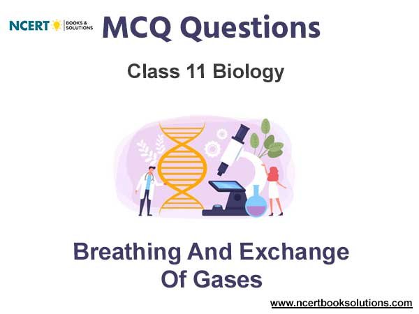 Breathing and Exchange of Gases Class 11 Biology MCQ Questions
