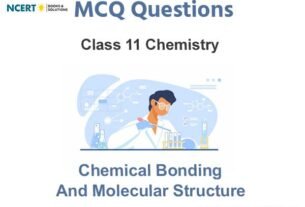 Chemical Bonding and Molecular Structure Class 11 Chemistry MCQ Questions