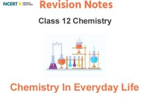 Chemistry In Everyday Life Class 12 Chemistry