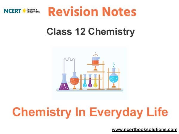 Chemistry In Everyday Life Class 12 Chemistry