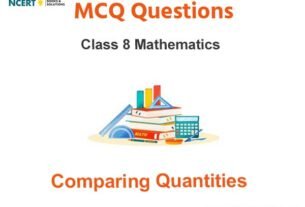 MCQs For Class 8 Comparing Quantities With Answers