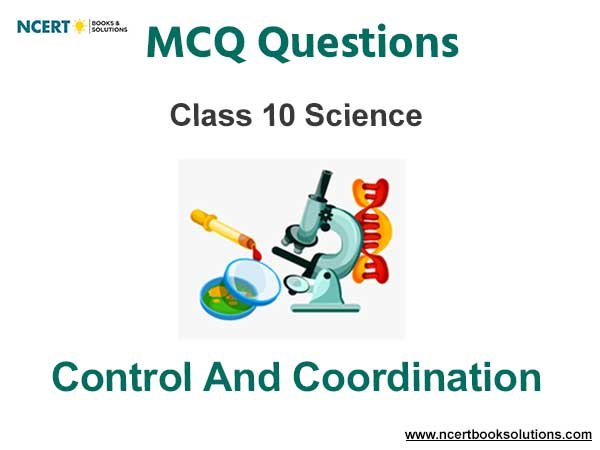 Control and Coordination Class 10 Science MCQ Questions