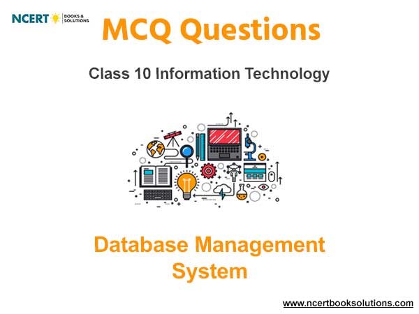 Database Management System Class 10 Information Technology MCQ Questions