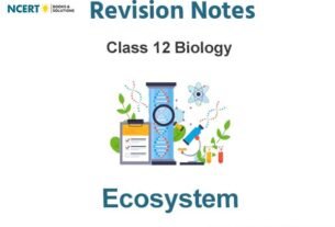 Ecosystem Class 12 Biology Notes