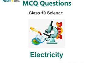 Electricity Class 10 Science MCQ Questions