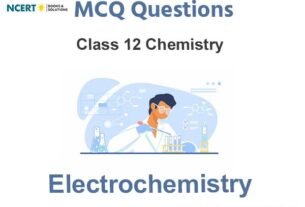 Electrochemistry Class 12 Chemistry MCQ Questions