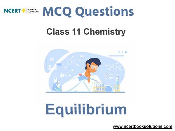 Equilibrium Class 11 MCQ Questions