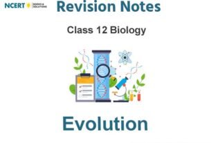 Evolution Class 12 Biology Notes