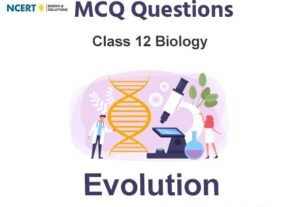 Evolution Class 12 Biology MCQ Questions