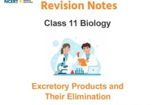 Excretory Products and Their Elimination Class 11 Biology Notes