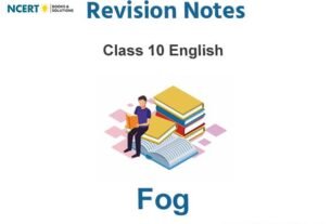 Fog Summary Class 10