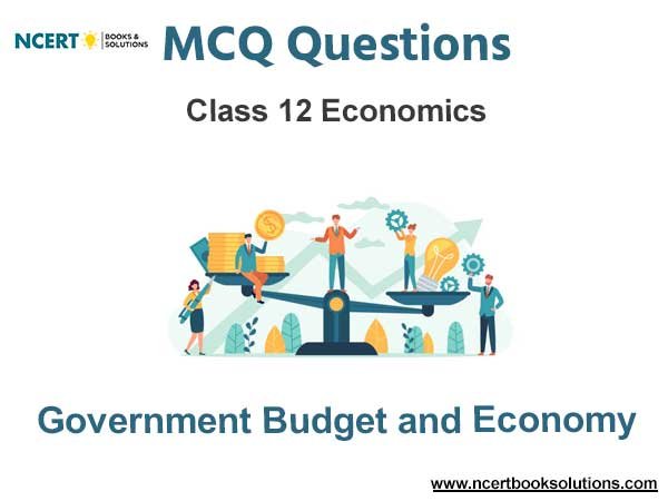Government Budget and Economy Class 12 MCQ Questions