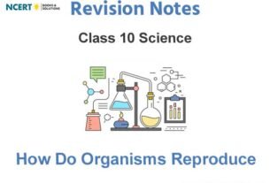 how do organisms reproduce class 10 notes