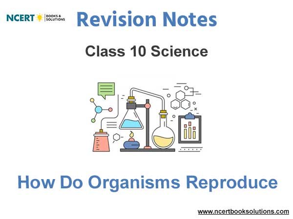how do organisms reproduce class 10 notes