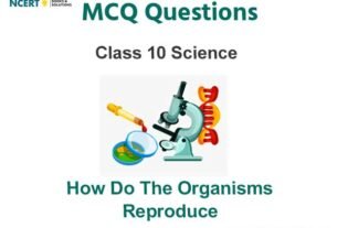 Organisms Reproduce Class 10 Science MCQ Questions