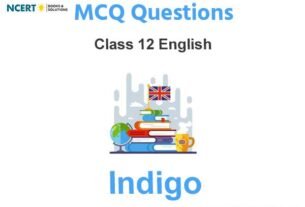 Indigo Class 12 English MCQ Questions