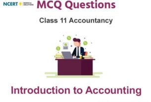 Introduction to Accounting Class 11 MCQ Questions