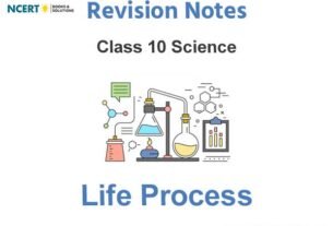 life process class 10 notes