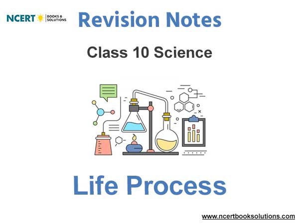 life process class 10 notes