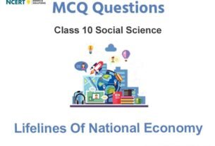 Lifelines of National Economy Class 10 MCQ Questions