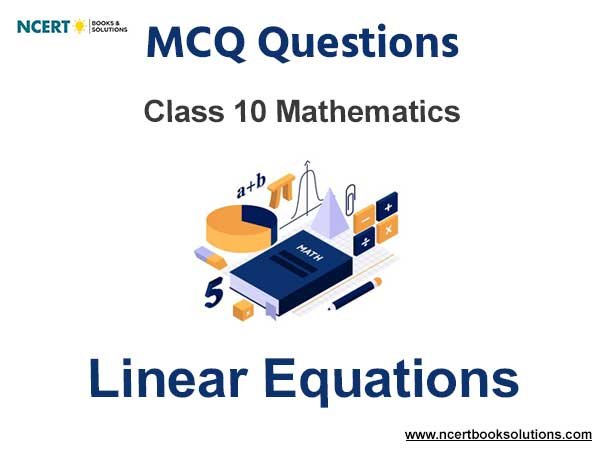 MCQ Questions for Class 10 Linear Equations