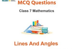 MCQs For NCERT Class 7 Lines and Angles With Answers