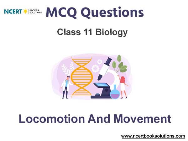 Locomotion and Movement Class 11 Biology MCQ Questions