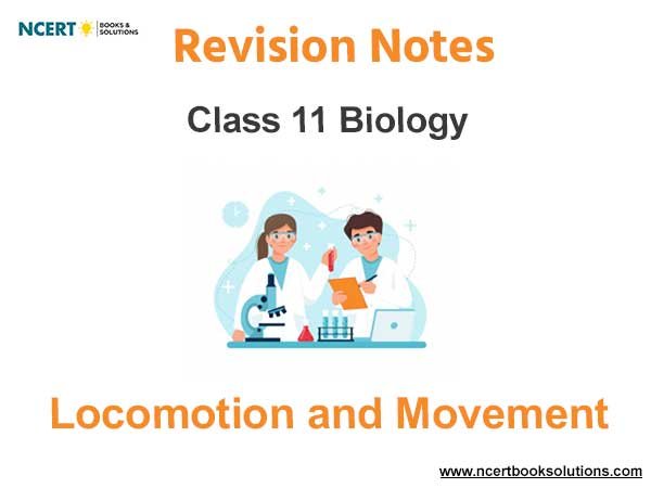 Locomotion and Movement Class 11 Biology Notes